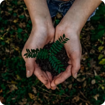 Green Image